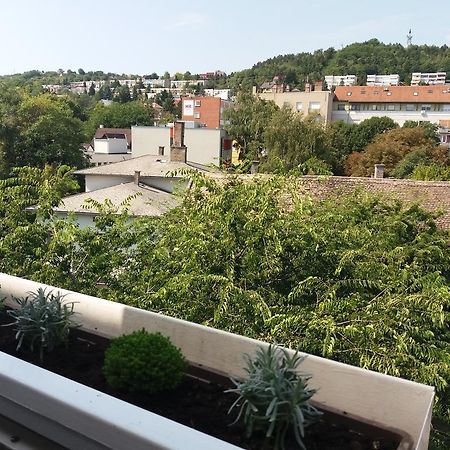 Malnas Macska Apartman Szekszard Bagian luar foto