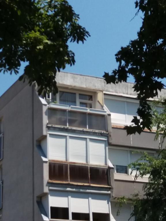 Malnas Macska Apartman Szekszard Bagian luar foto