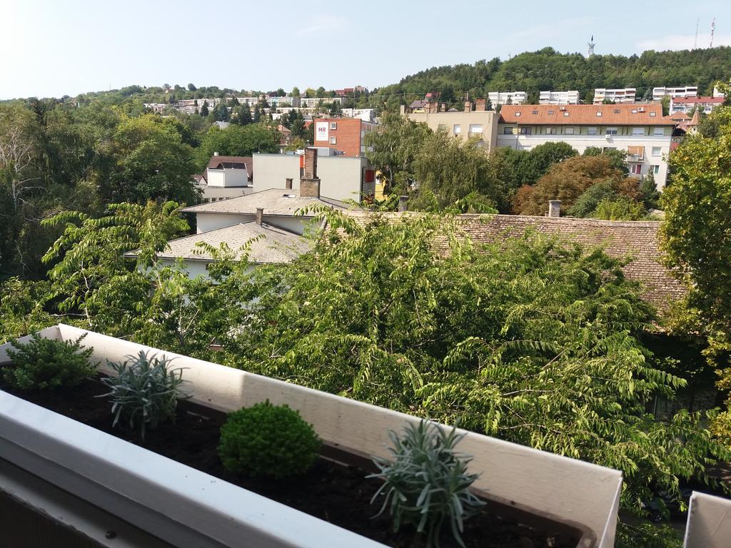 Malnas Macska Apartman Szekszard Bagian luar foto