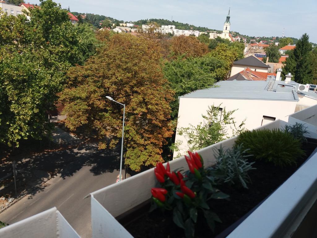 Malnas Macska Apartman Szekszard Bagian luar foto
